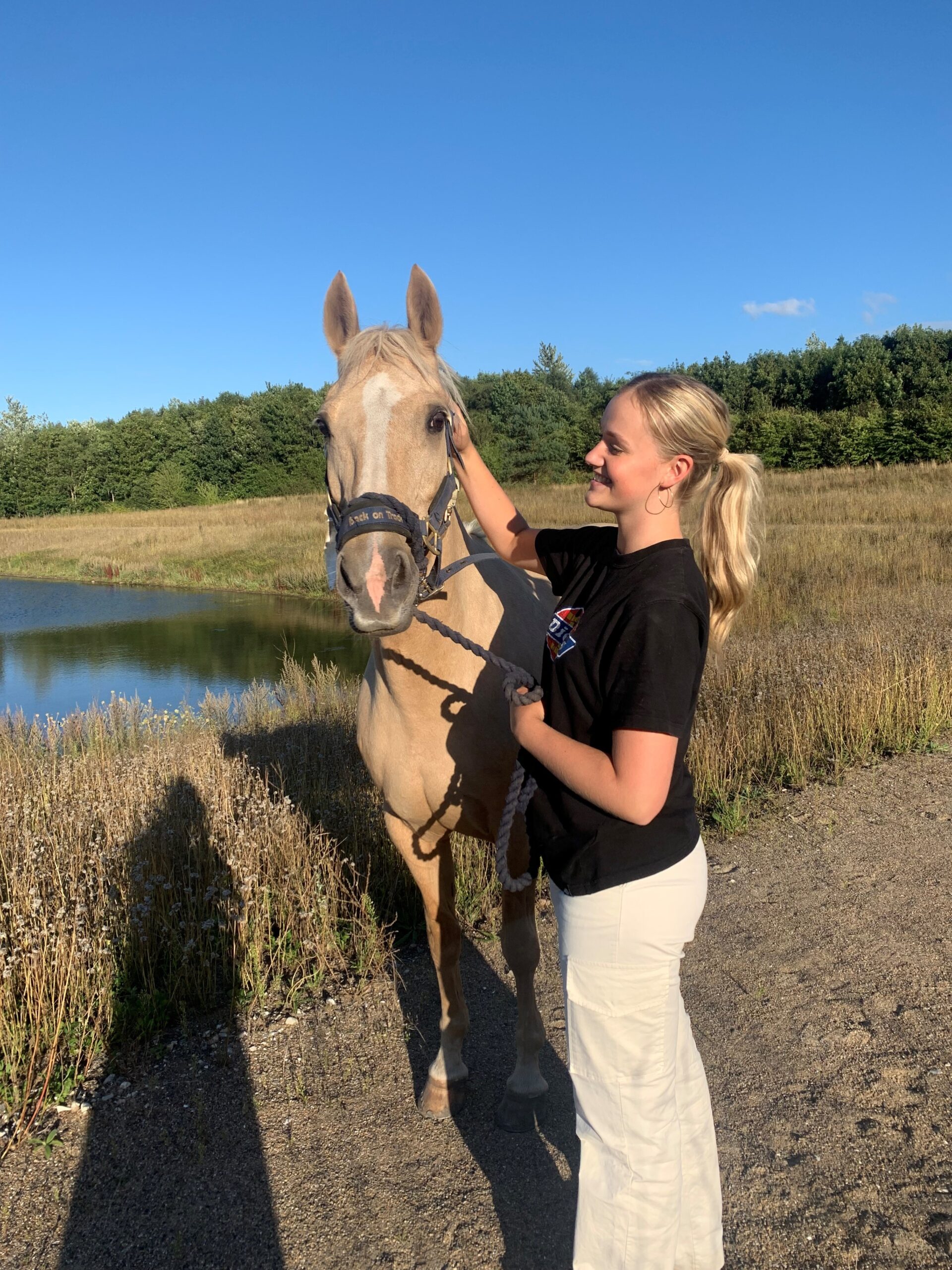 Foto - hest